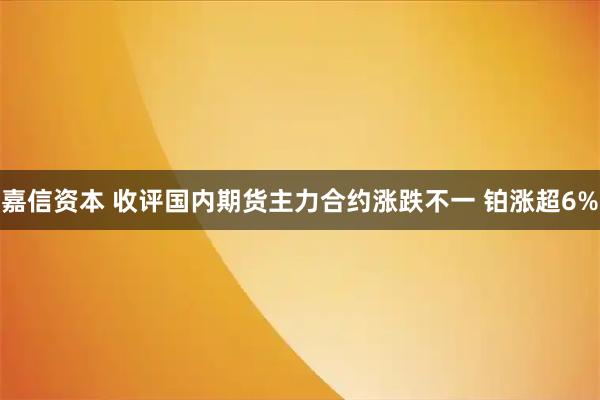 嘉信资本 收评国内期货主力合约涨跌不一 铂涨超6%